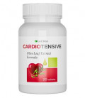 Cardiotensive