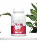 Cardio 11
